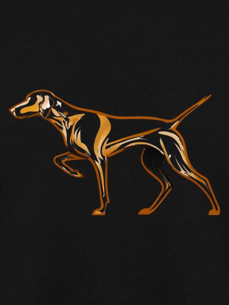 Vizsla Design