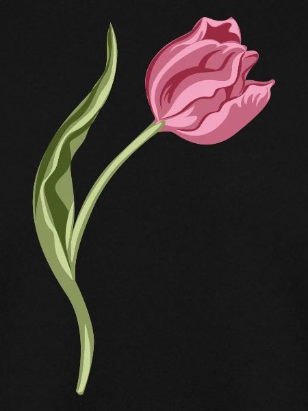 Elegant rosa Tulpe Illustration