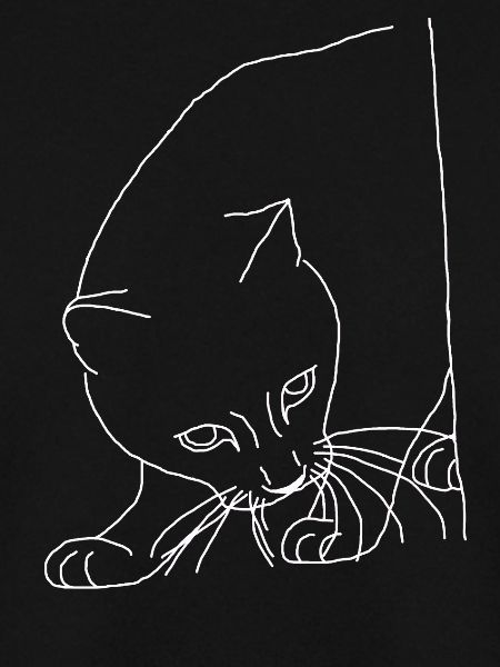 Katze