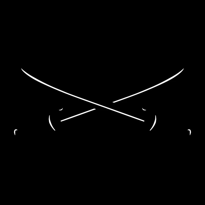 Épées croisées, pirates, pirates