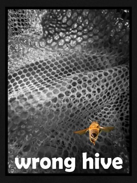 Wrong Hive
