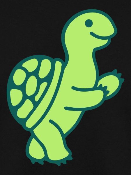Turtle 2