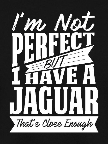 PERFEKT MIT JAGUAR W.
