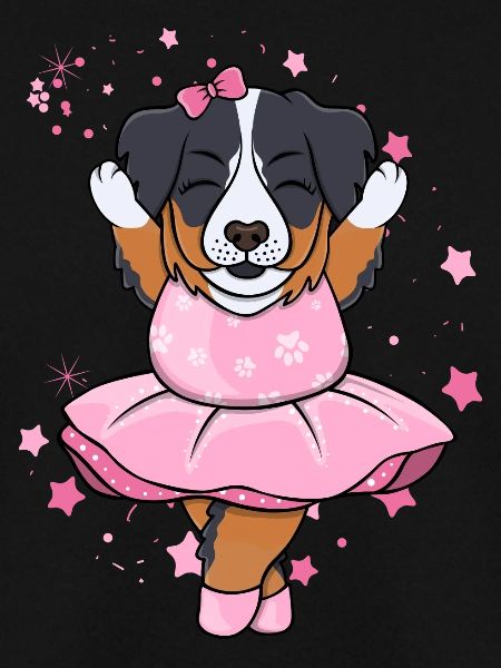 Berner Sennen Ballerina
