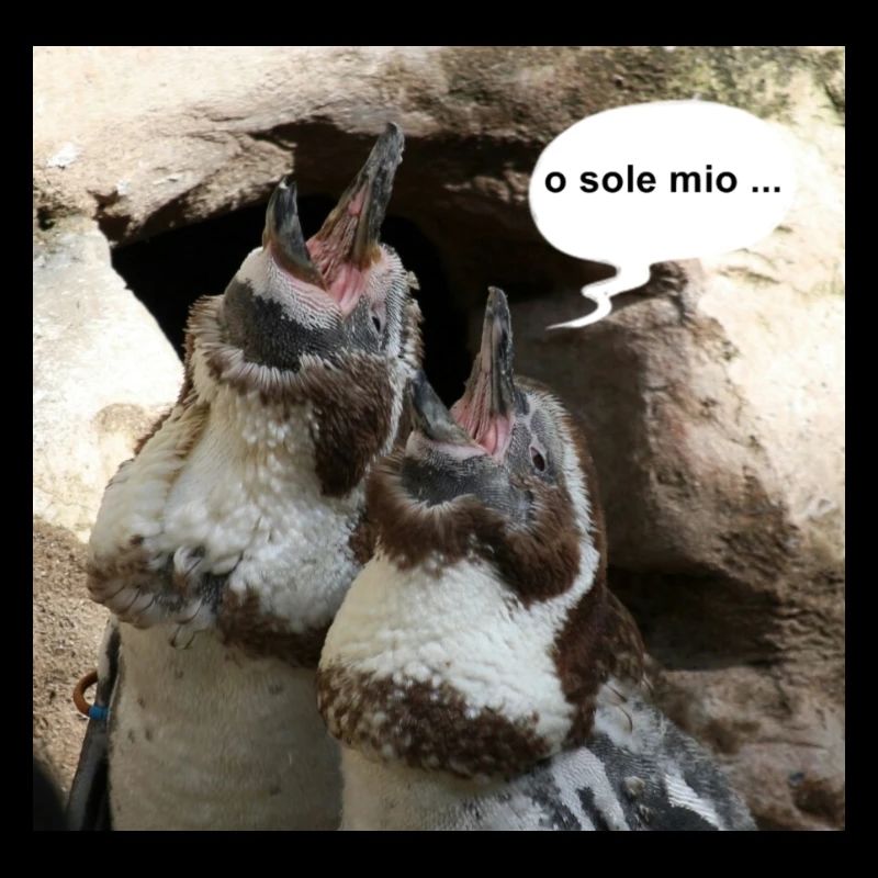 Pinguine