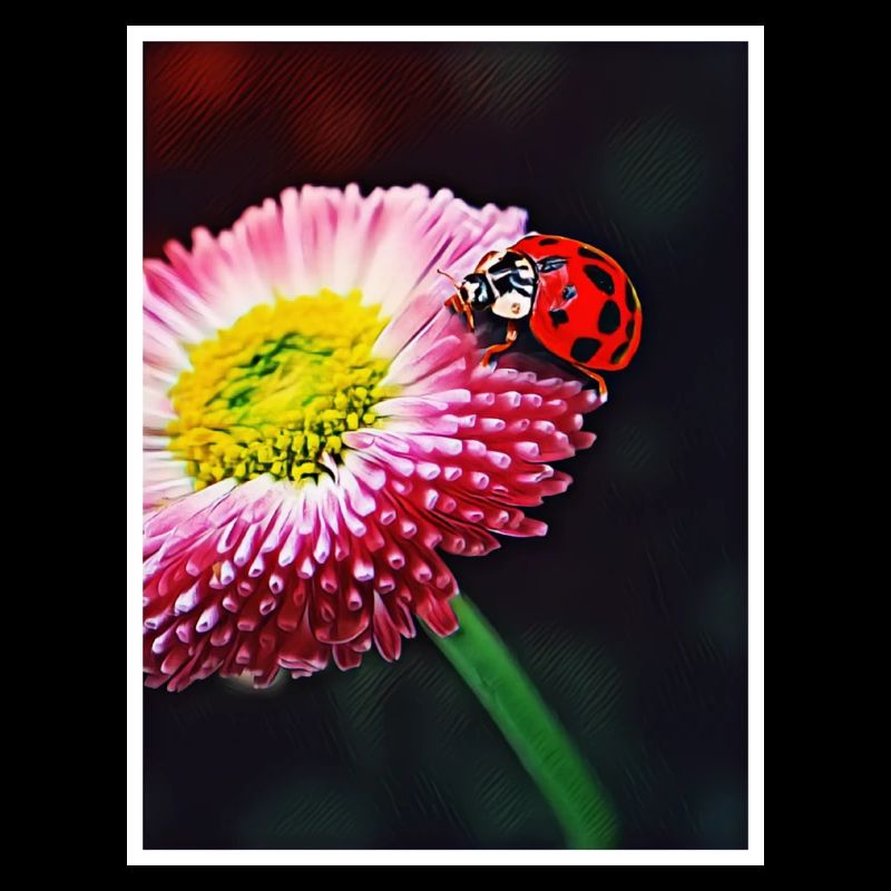 Marienkäfer auf einer Blume