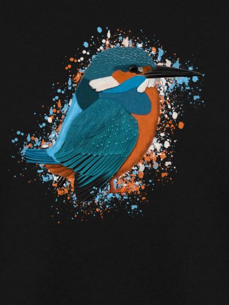 Eisvogel Vogel Vogelfreund Vogelbeobachter