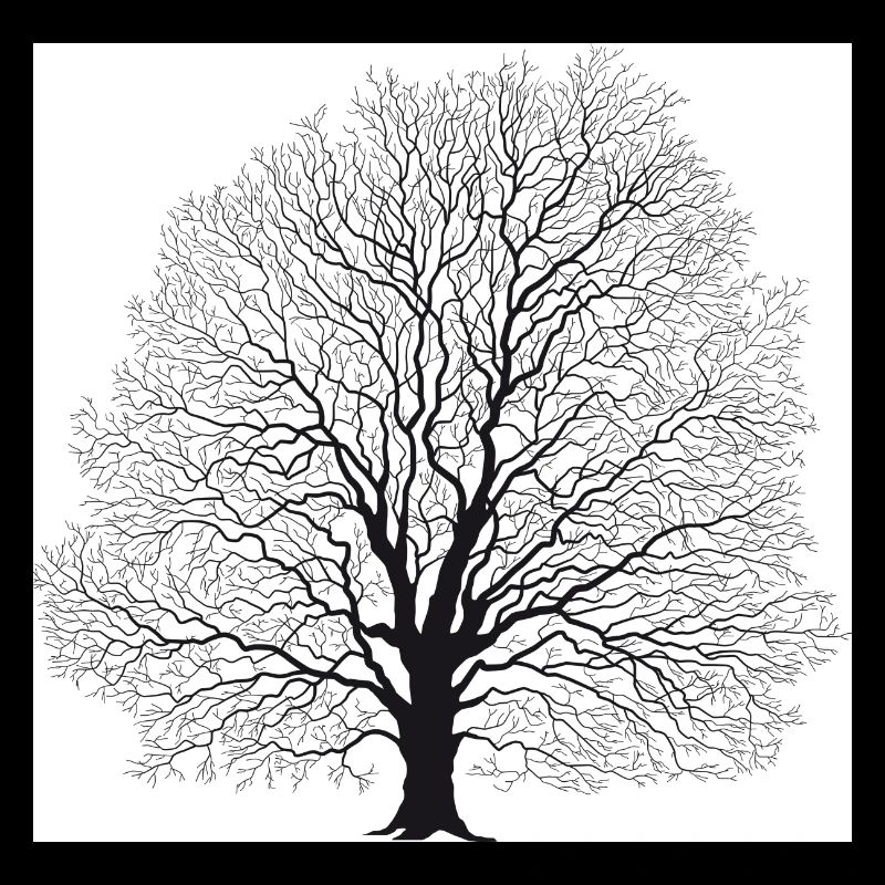 Baum