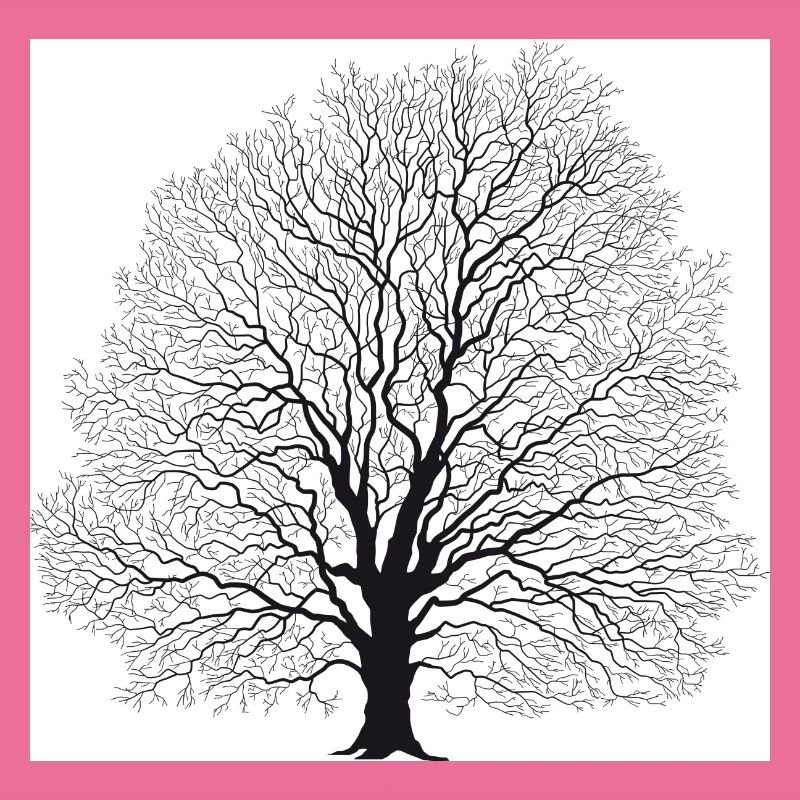 Baum