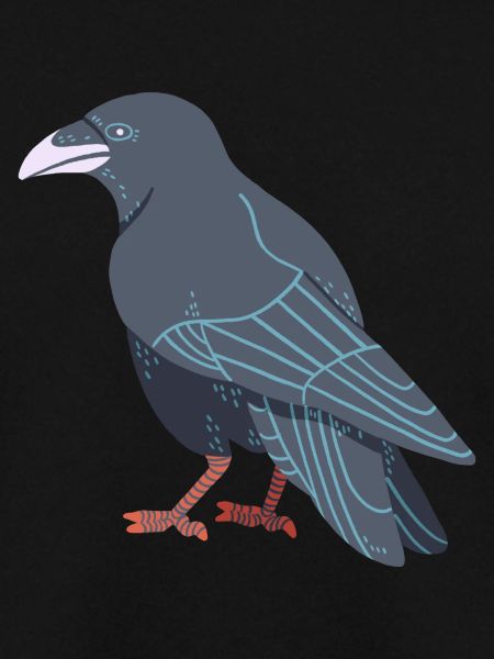 Carrion crow