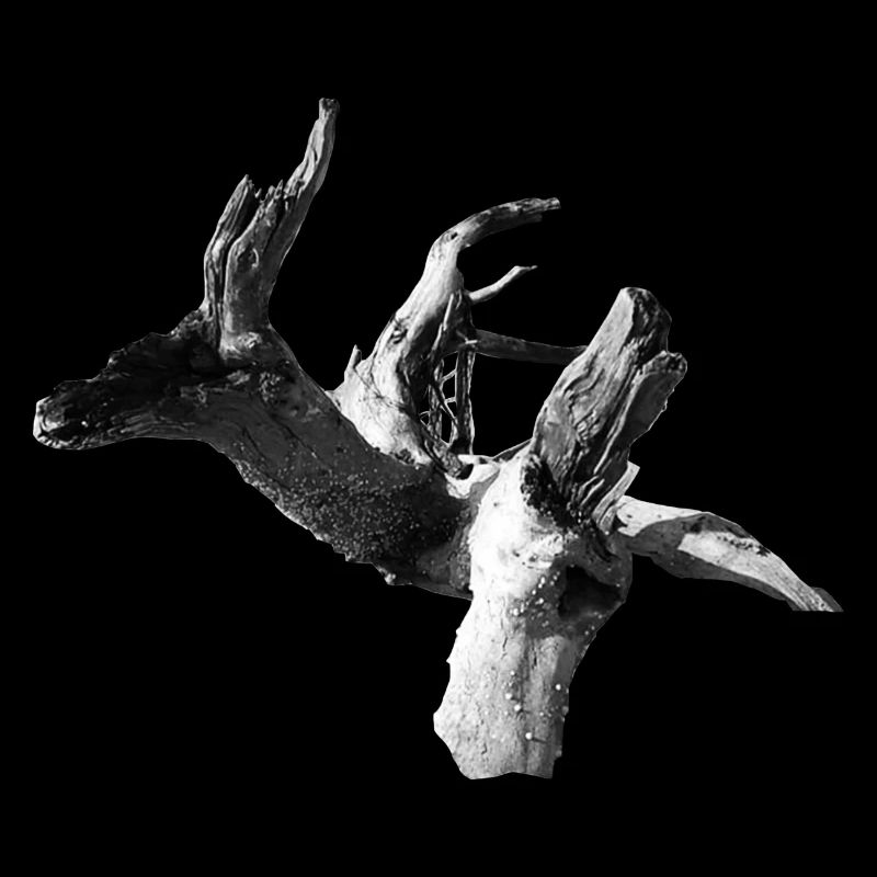 Termit-Osa
