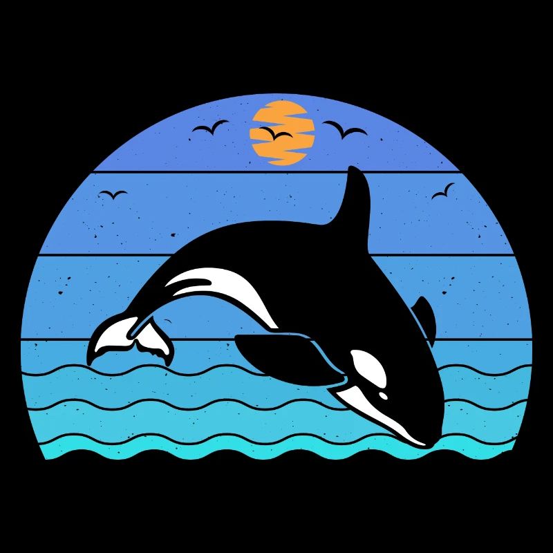 Orca Wal Ozean