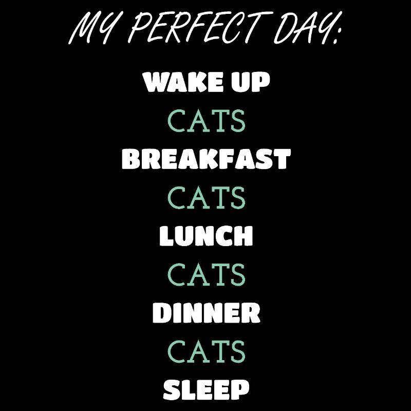 Whimsical Cat Daily Routine Design