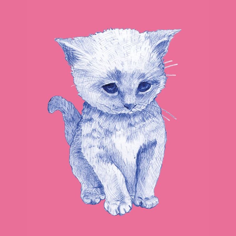 Schmuse Katze