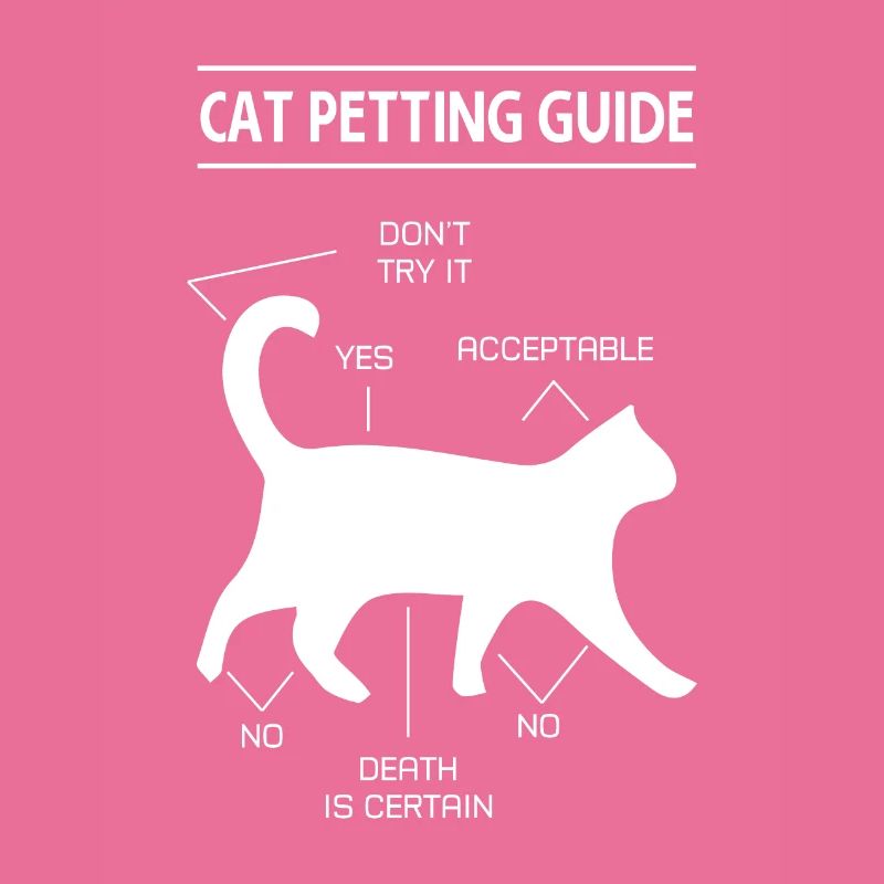 chat chat caresser guide