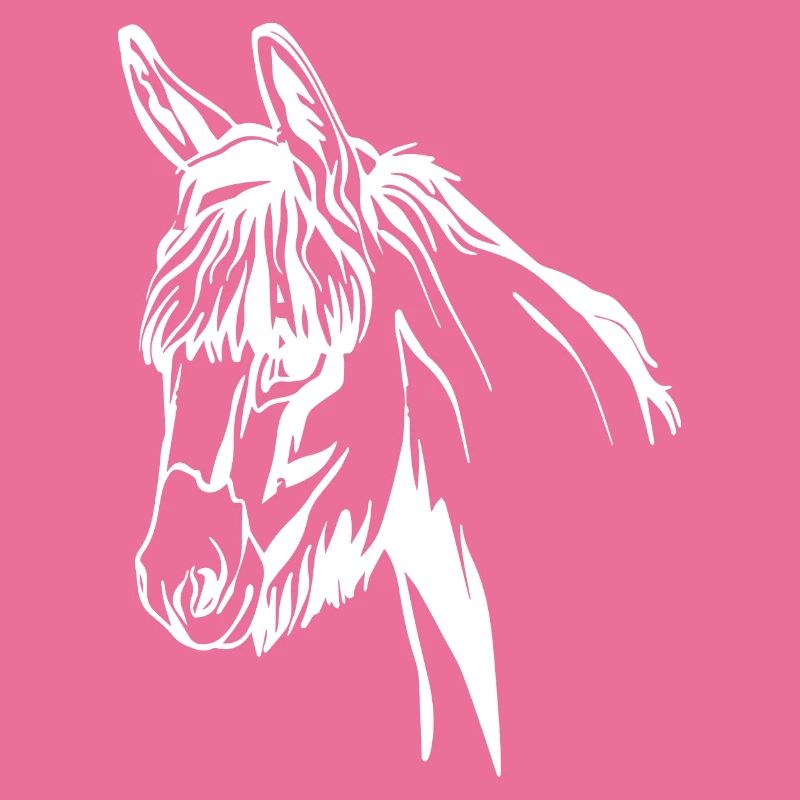 Donkey Esel