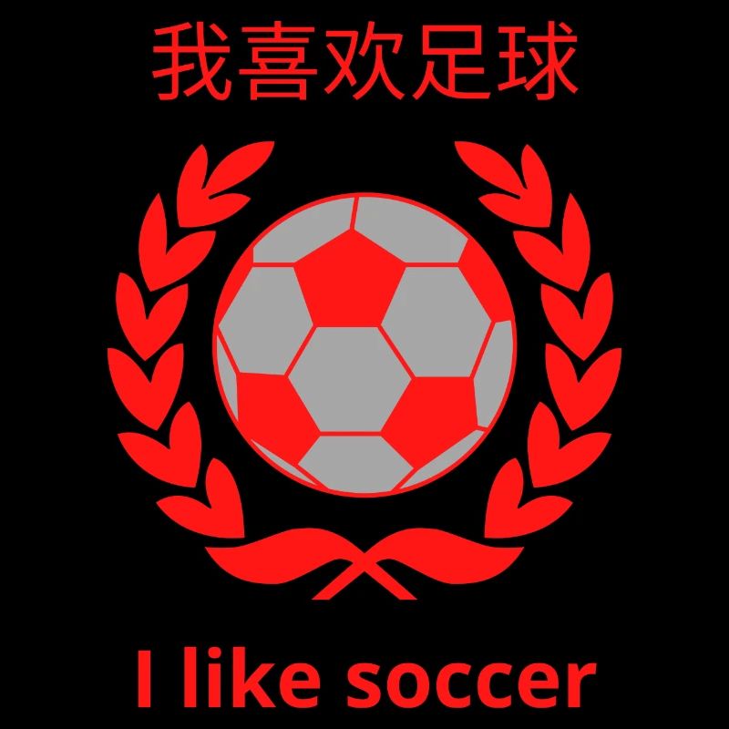 我喜欢足球 I Like soccer