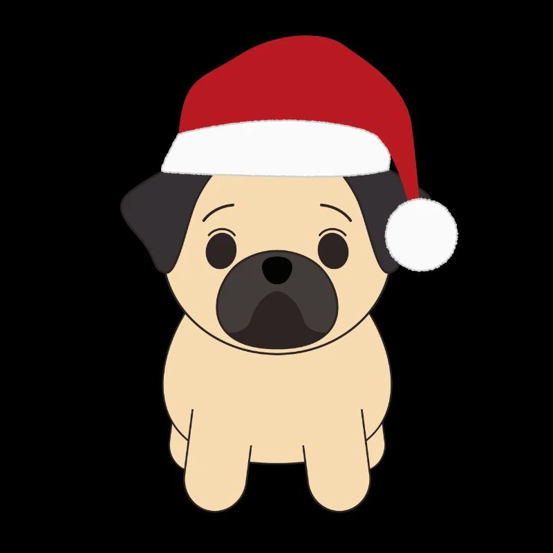 Carlin Noël