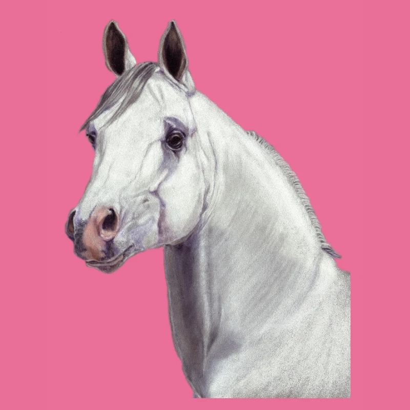 Arabisches Pferd