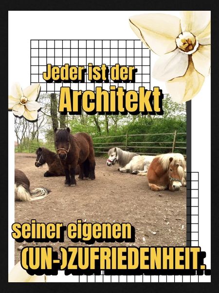 Herde Motto