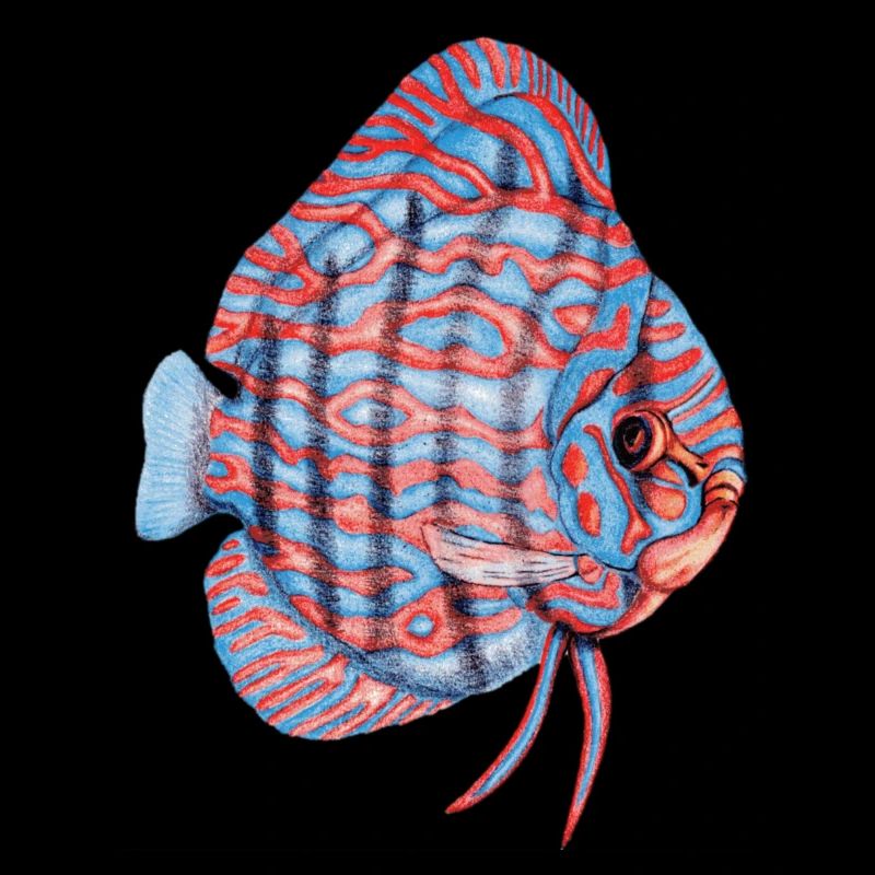 Diskus