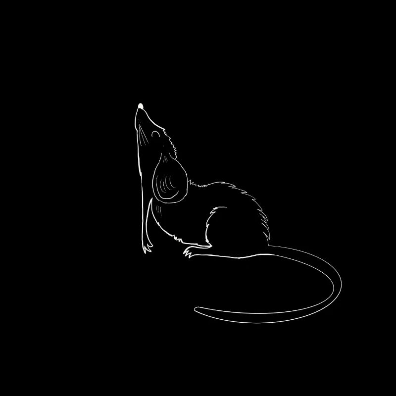 Maus
