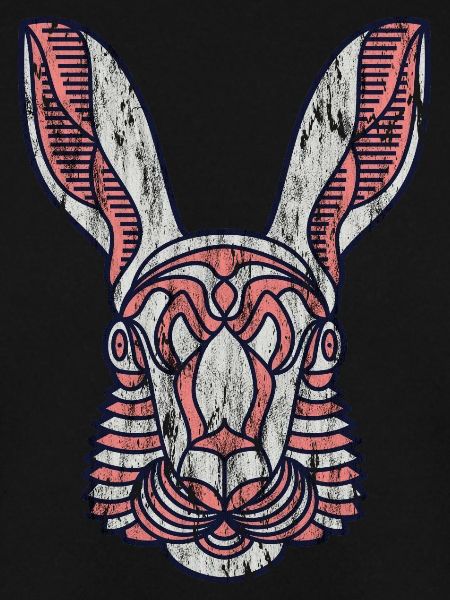 Hase