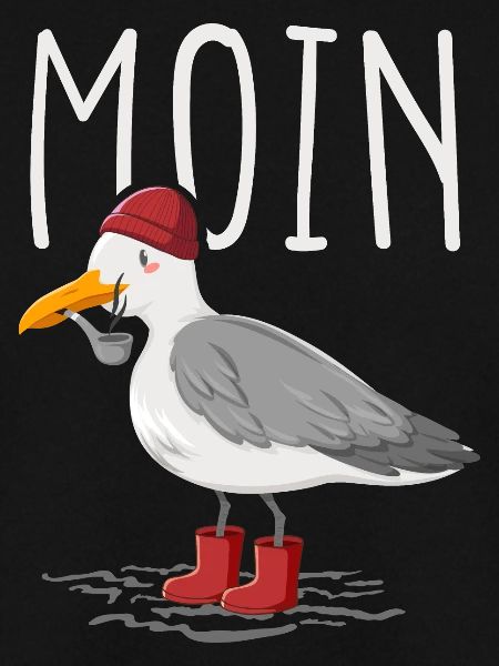Moin Möwe Seemann