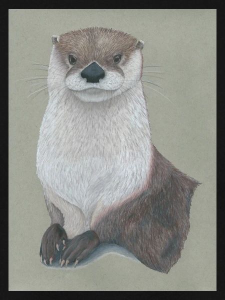 230324 Otter 3
