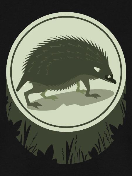 Igel