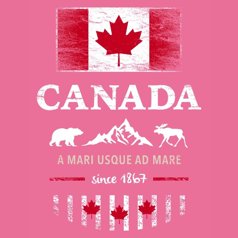 Drapeau unifolié Canada Canada Amérique