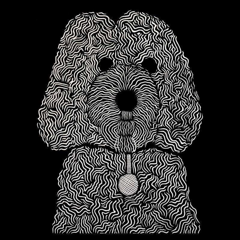 Cockapoo