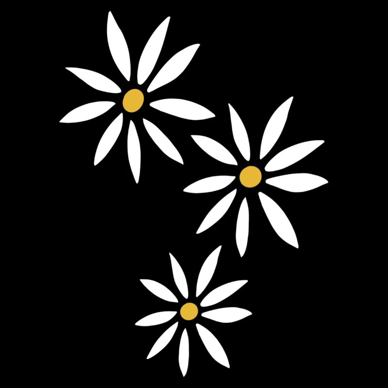 Daisy flowers spring