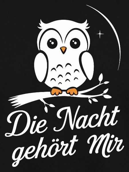 Nachteule Eule Eulen Vogel