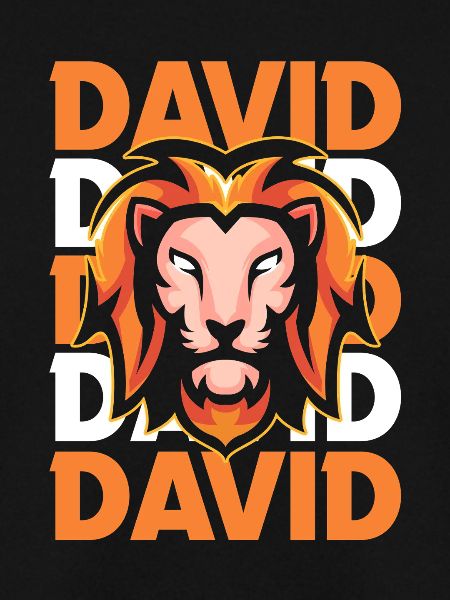 Löwe David