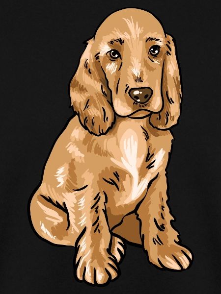 Cocker Spaniel