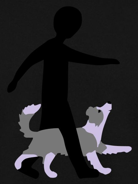 Dog Dancing 3-5