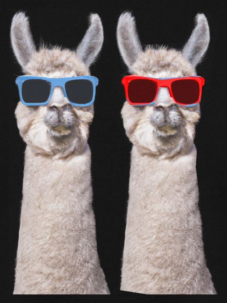 Alpaka Lama Bunt Brille