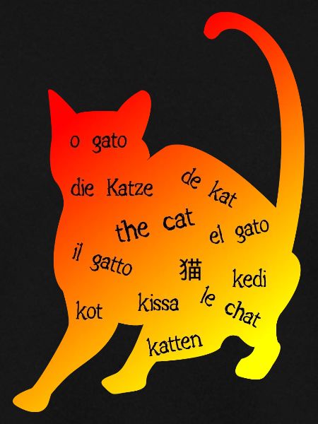 Multilingual 'Cat' - Creative Design