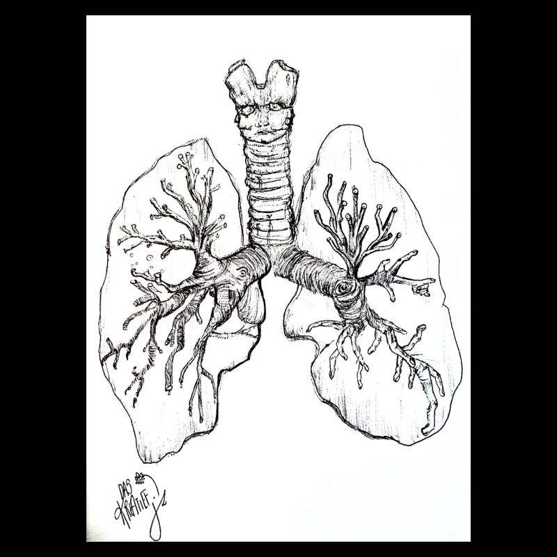 FunWithLungs