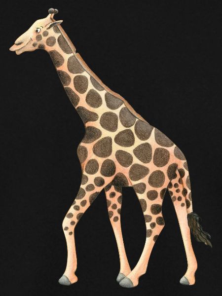 Girafe