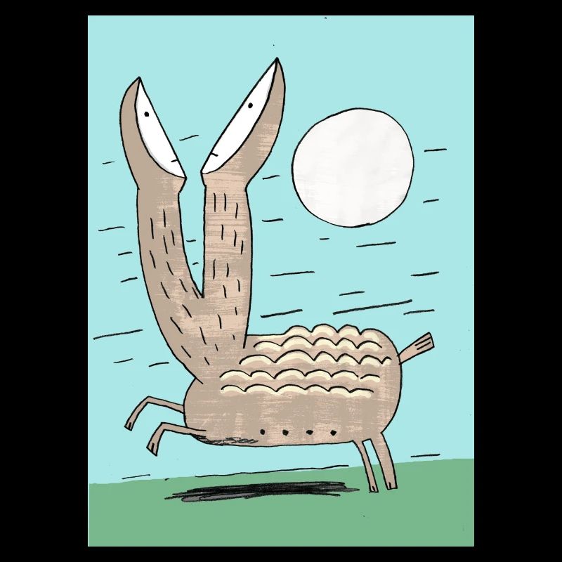 Découverte d’un animal inconnu