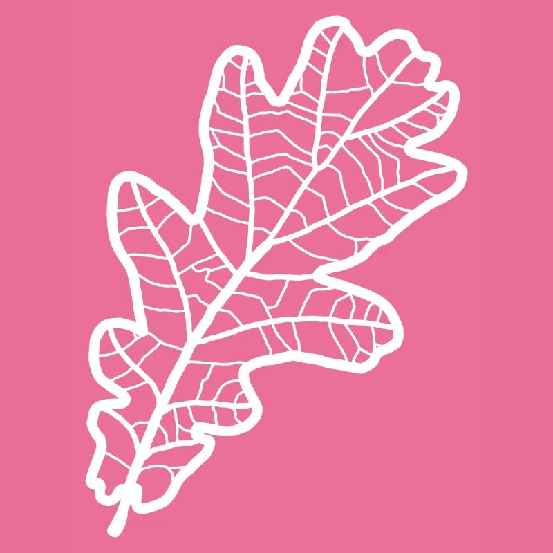 Eiche Eichenblatt Eichenlaub Eichen Oak Leaf Baum