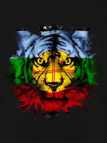 Mapuche
