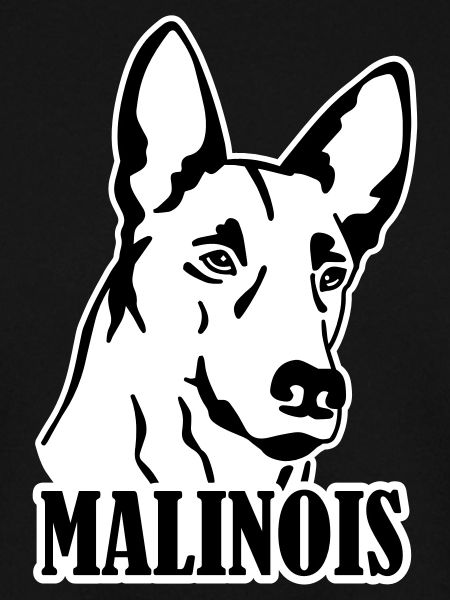 Malinois