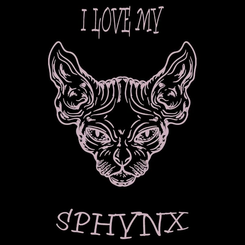 Chat nu Sphynx chat