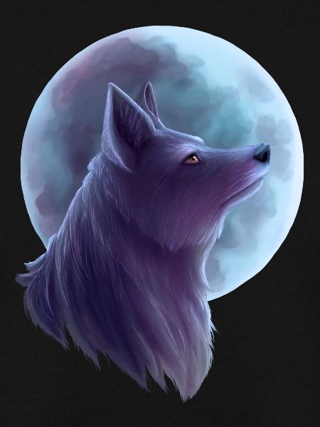 Loup d'argent