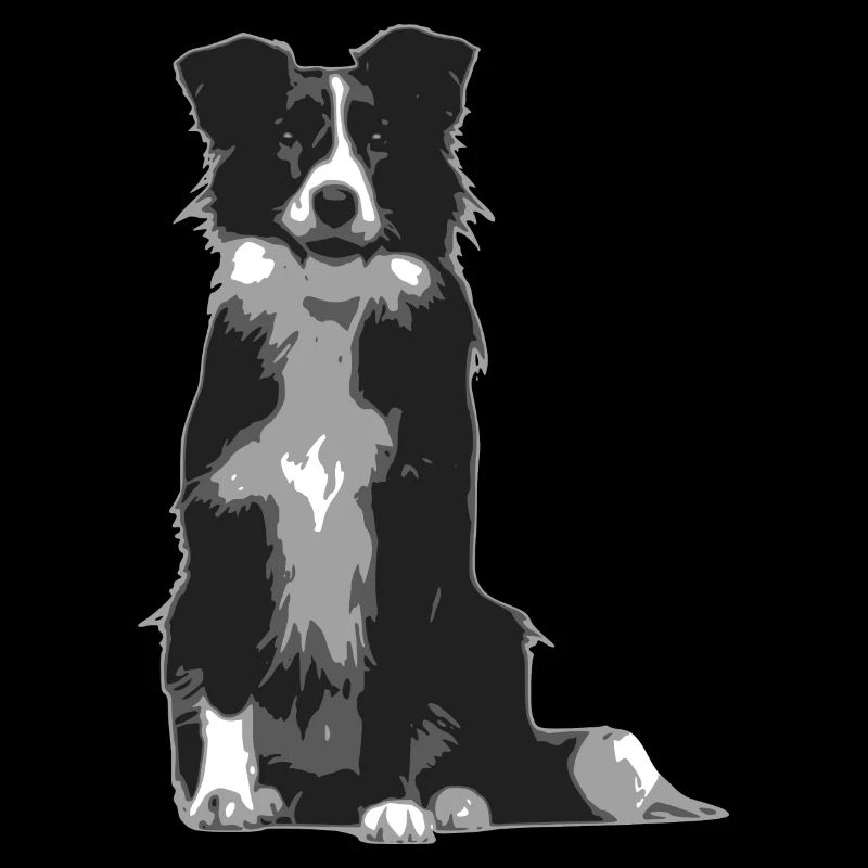 Silhoette border collie