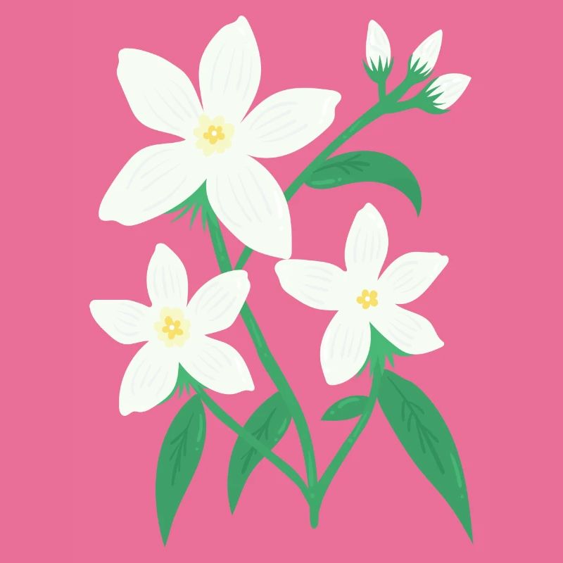 Jasmin