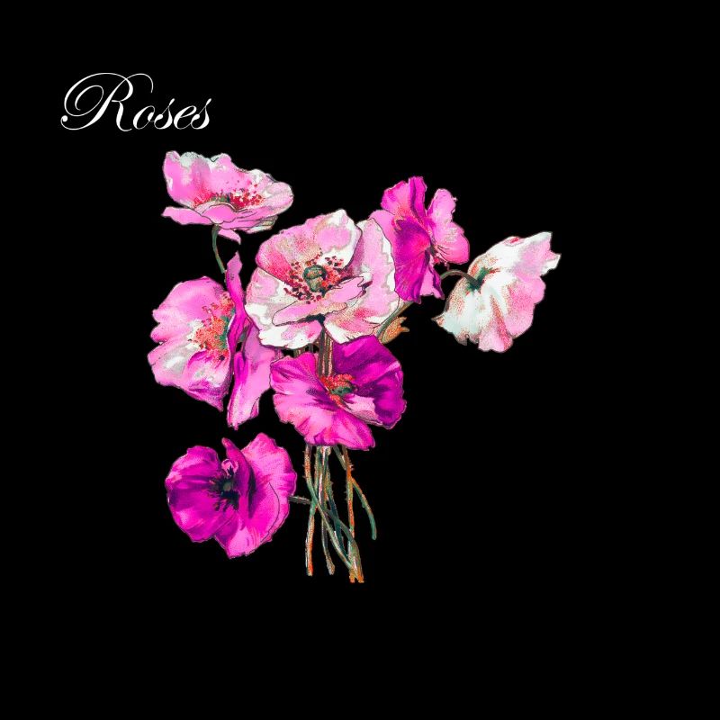 Roses roses et violettes